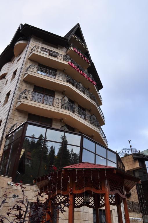 Hotel Arca lui Noe Sinaia Esterno foto